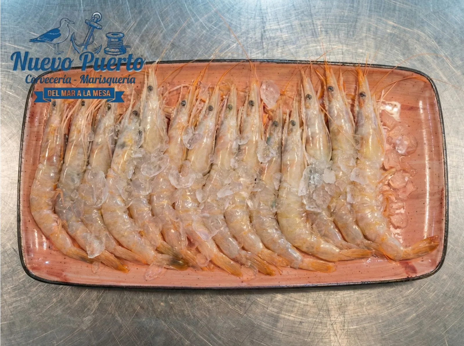 Gamba Blanca de Huelva XXL Marisquería Nuevo Puerto