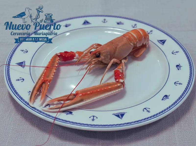 Cigala cocida