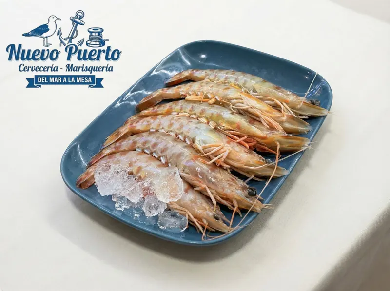 Langostinos XL