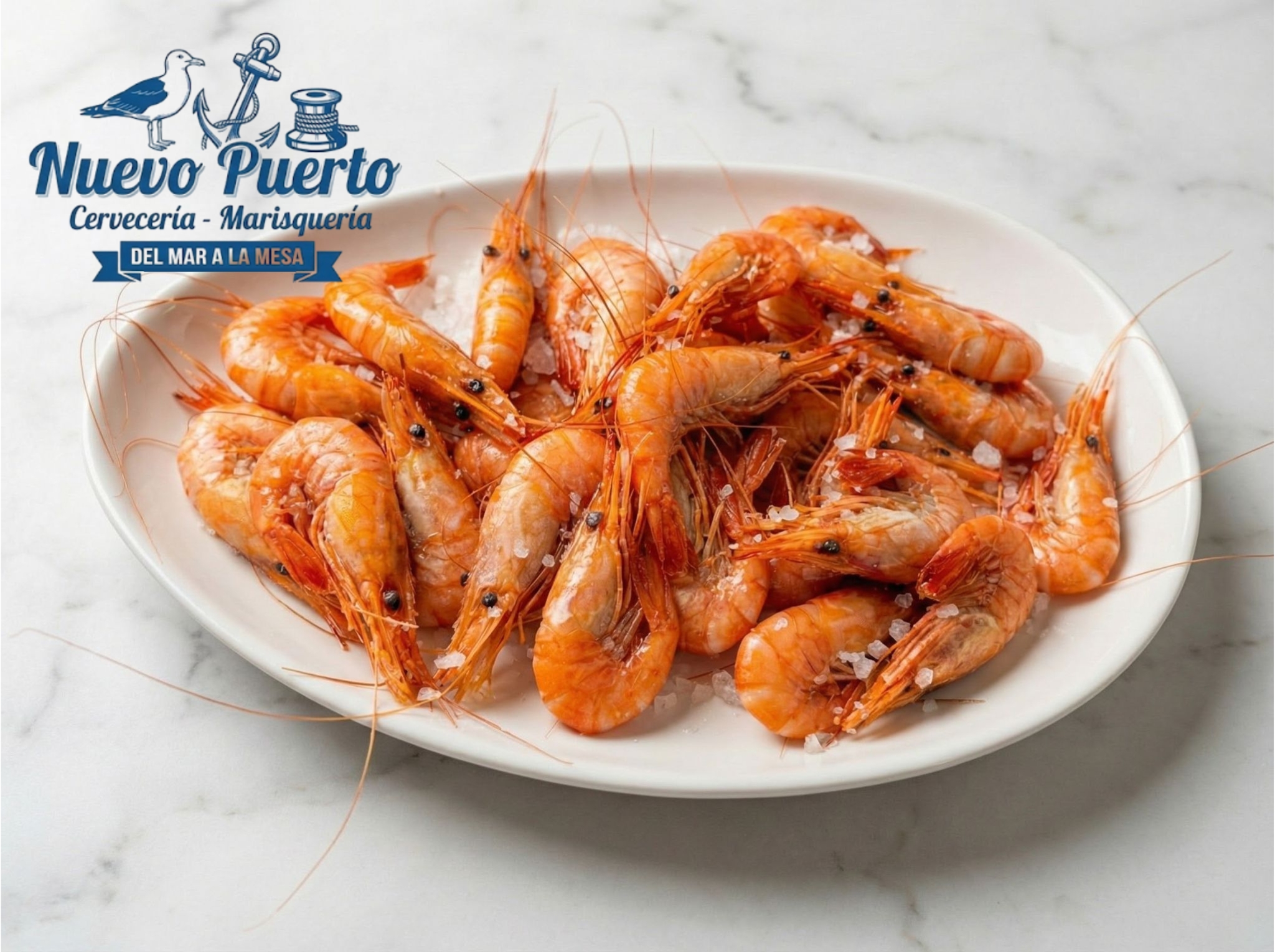 Gamba Blanca de Huelva XXL Marisquería Nuevo Puerto